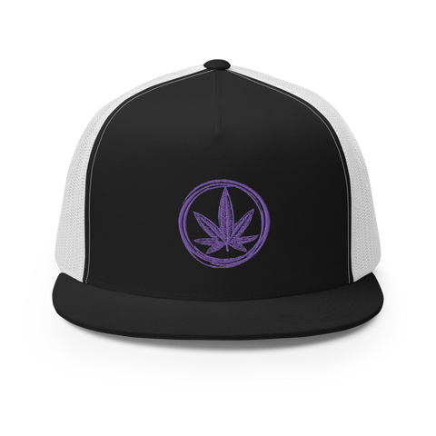 Cannapbell Purple Cap